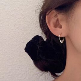 A few taels of silver earrings
