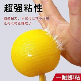 Sticky insect traps for indoor use, non-toxic